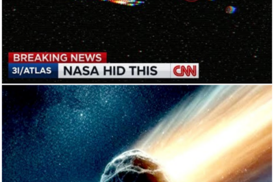 🦊 LEAKED: The Truth About Comet Atlas That NASA Doesn’t Want You to Know—Astronomers Are In Shock! 🚨