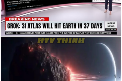 🦊 “WORLD ON EDGE: Grok 4’s Mysterious 3I/ATLAS ‘Impact Scenario’ Leaks… and Experts Refuse to Comment 🧩🔥”