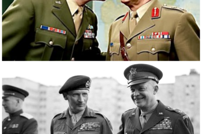 “You’re Finished” ❄️🔥 | The Day Eisenhower Nearly Fired Montgomery and Saved the Alliance