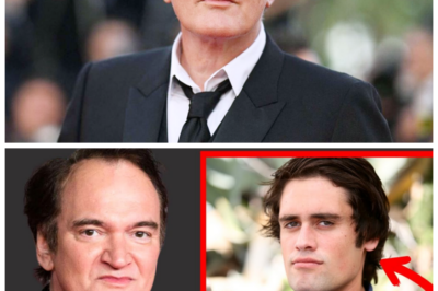 “Quentin Tarantino’s Emotional Confession About Rob Reiner: This Is Truly Tragic! 🎬😢”  In a heartfelt moment that has left the public in shock, Quentin Tarantino has opened up about his relationship with Rob Reiner, revealing a tragic truth; “I always looked up to him, but I had no idea how much he was suffering!” he disclosed, recounting the challenges Reiner faced that often went unnoticed. This emotional confession sheds light on the struggles that have shaped Reiner’s life and career, revealing truths that challenge the fairy tale image often portrayed in the media. What shocking revelations did Tarantino unveil, and how will they transform our understanding of Reiner’s legacy? The answers are bound to be eye-opening! 👇