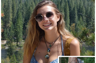 Tourist Couple Vanished in Joshua Park — 7 Years Later Their Bodies Found Inside a Tree… Emily Carter disappeared in the Appalachian Mountains on September 23rd, 2005. She was 24 years old, worked as a nurse in a small hospital in Richmond, and had planned to spend the weekend hiking alone on the Blue Ridge Trail. 5 years later, hunters found her remains under the roots of a century old oak tree 20 m from the last place she was seen alive. Emily grew up in a family of avid hikers. Her father, John Carter, worked as a rock climbing instructor for many years, and her mother, Susan, taught biology at a high school and regularly took her students on nature expeditions. The family spent every weekend in the mountains. And by the age of 18, Emily knew the Appalachians better than most local guides. After graduating from college, she moved to Richmond, but continued to return to the mountains every month. In September 2005, Emily was working in the intensive care unit. Her colleagues remember that she looked tired after a series of difficult shifts………..