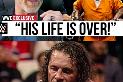 🥀⏳ “The Fall of a Hero: How Bret ‘The Hitman’ Hart’s Post-Retirement Life Became a Saga of Loss, Pain, and Unspoken Resilience…”
