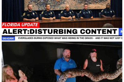 Everglades Burns Exposed What Was Hiding in the Grass – and It Was Not Just Snakes