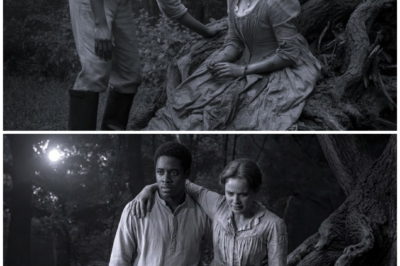 Slave Finds the Master’s Wife Injured in the Woods — What Happened Next Changed Everything