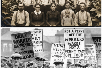 😱 41 Went to Work. None Returned – The Dark Truth Behind Kentucky’s Beaumont Plantation (1876) 😱 – HTT