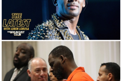 What Really Happened?