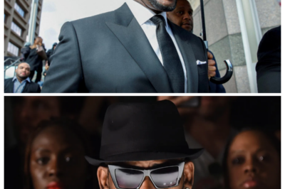 What His Lawyer Says