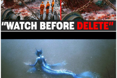 Captured on Camera: The 512-Year-Old Giant Mermaid’s Silent Scream That Shattered Scientific Beliefs and Haunted the Seas