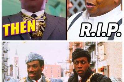 Coming to America (1988) Cast: Then And Now 🔥 — You Won’t Believe Their Transformations