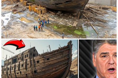 🚢 “SHOCKING: SCIENTISTS DISCOVER SECRETS OF NOAH’S ARK IN Türkiye AND THE WORLD IS IN FRIGHT!” In a discovery that has sent shockwaves around the world, scientists in Türkiye have uncovered the long-lost secrets of Noah’s Ark — and what they found is far more terrifying than anyone could have imagined. Hidden beneath the ancient mountains, the Ark’s remains reveal not just relics of biblical history, but unsettling evidence of unknown creatures, mysterious markings, and a secret that could change everything we thought we knew about the flood. The world is in shock, and the truth may be too powerful to handle 👇