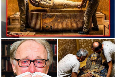 👑 “DNA of Queen Nefertiti Has Been Analyzed — And What It Reveals About Her Legacy Will Terrify You!” In a groundbreaking discovery, scientists have finally analyzed the DNA of Queen Nefertiti, and what they’ve uncovered is more terrifying than anyone could have imagined. The analysis reveals unsettling genetic links, possible ancient diseases, and connections to powerful bloodlines that were hidden for centuries. What they found could completely rewrite history, revealing darker secrets about the Egyptian queen and her true influence 👇