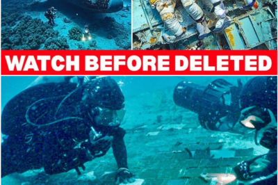 Divers Reveal Haunting Discoveries From Challenger Disaster That NASA Tried to Keep Secret