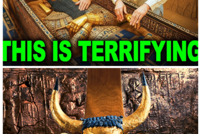 Why Ancient Mesopotamia Tomb Discovery Is Sending SHOCKWAVES A long-buried chamber has finally been opened in the heart of ancient Mesopotamia—and what researchers uncovered inside is rewriting everything we thought we knew about the world’s first civilization. Why are experts stunned, and what forbidden secrets were hidden for over 5,000 years? Tap the link in the comments before this explosive revelation disappears.
