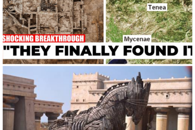 Archaeologists Left Stunned After Discovering Mythical Trojan City Hidden For 3000 Years!