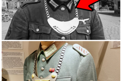 Why Did Germans Wear Those Metal Neck Plates in WWII?