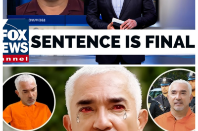 Cesar Milan From Dog Whisperer Sentenced To Life Imprisonment