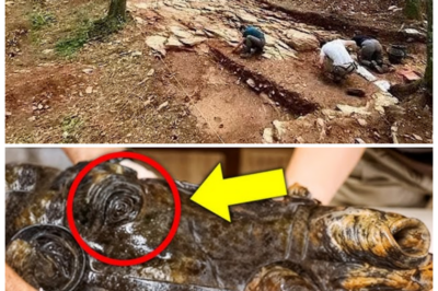 “MYSTERY METAL BLOCK UNEARTHED 🌍: Man Finds It in the Ground—Experts Are SHOCKED and Turn Pale as They Realize What It REALLY Is!” What began as a simple dig quickly turned into a terrifying discovery when a man unearthed a strange metal block from the earth. But when experts examined it, their faces went white with fear. This wasn’t just a relic—it was an impossible object that defied all logic and science. Could this be the ancient artifact of a lost civilization, or something far more sinister? The truth will shock you 👇