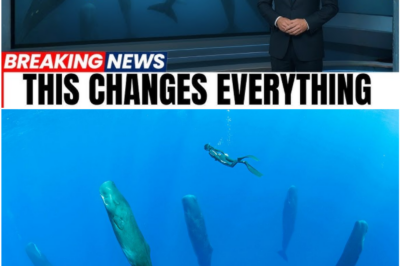 Sperm Whales’ Bizarre Vertical Sleep Reveals Dark Secrets of the Deep