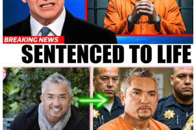 Cesar Millan From The Dog Whisperer To Life Imprisonment, Goodbye Forever