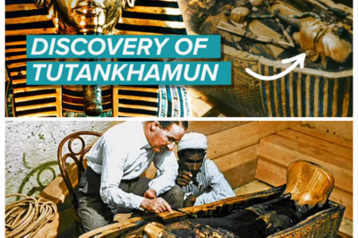 Tutankhamun: The Greatest Archaeological Discovery of All Time