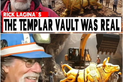 Oak Island Mystery Finally Cracked — Rick Lagina Reveals Ancient Templar Vault Discovery