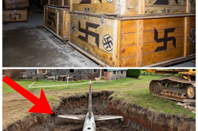 FINALLY FOUND! 50 WWII ARTIFACTS UNEARTHED FROM THE SHADOWS 🔥 — Hidden Vaults, Vanished Soldiers, and Forbidden Tech That Rewrites Everything ⚙️ Experts whisper that these staggering discoveries include underground chambers, encrypted weapons systems, and relics tied to missions so classified even modern governments refuse to comment, igniting a global frenzy to uncover what else is still buried 👇