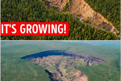 A Giant Wound Is Opening in Siberia — And Scientists Say It Won’t Stop Growing