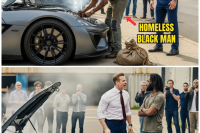 “I Can Fix It.”A Homeless Man Heard a Billionaire’s Cry for Help—Then He Taught Him What He Couldn’t