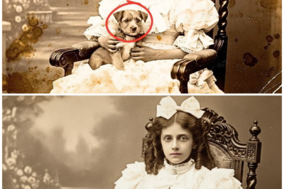 This 1900 Photo of a Girl with Her Puppy Seemed Adorable — Until Restoration Revealed the Truth