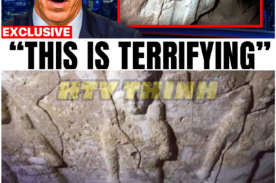 What Was Found Under the Temple Mount—and Why No One Is Talking About It