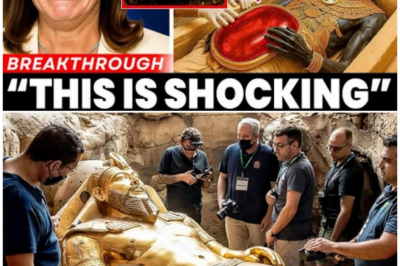 🦊 AFTER 5,000 YEARS OF SECRECY: King Solomon’s Tomb FINALLY Opened — What Was Found Inside Left the World in Shock ⚡