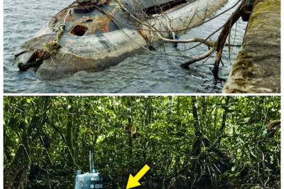 ⚡ “Abandoned WWII Submarine Found Deep In Jungle — Scientists Look Inside and Immediately Turn Pale!” A long-forgotten WWII submarine, abandoned deep in the jungle, has just been discovered — and what scientists found inside has left them speechless. Upon entering the vessel, they uncovered a hidden compartment filled with bizarre relics, unsettling symbols, and a cryptic message that could change everything we know about the war. The shocking discoveries inside will leave you questioning the dark secrets of WWII 👇