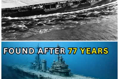 SHOCKING FIND: USS WASP RISES FROM THE DEEP AFTER 77 YEARS 🌊 — What Searchers Saw Inside the Lost Carrier Sent Cold Shockwaves Through Naval Historians ⚓ Deep-sea crews whisper that the shattered corridors and frozen artifacts suggest the carrier’s final minutes hold grim secrets of sabotage, miscommunication, and a desperate battle that was far more chaotic than the official record ever admitted 👇