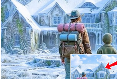 From Homelessness to Millions: How a Single Mom Discovered a Hidden Treasure in a Snow-Covered Rock Shelter