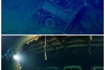 🚢 “SHOCK: Sunken WWII Car Carrier Found — 200 Classic Cars Perfectly Preserved Underwater!” After decades of mystery, a sunken WWII car carrier has been discovered, and inside it lies a treasure trove of 200 classic cars, perfectly preserved beneath the ocean’s surface. These cars, frozen in time for over 80 years, could be worth millions — and experts believe they might hold more than just monetary value. The discovery raises questions about wartime logistics, secret shipments, and a hidden legacy that was meant to stay buried beneath the waves 👇