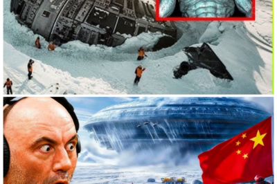 Antarctica Panic: Chinese Expedition Stumbles Upon a Frozen Creature That Shouldn’t Exist 🧊 Chinese researchers thought they were mapping glacier shifts—until they uncovered a hulking frozen form that sent half the team screaming into a whiteout, sparking rumors of classified evacuations, missing scientists, and a government scramble to hide whatever ancient nightmare thawed beneath the ice👇