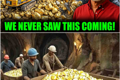 BREAKING: Mysterious Structure Unearthed on Oak Island’s Lot 5 Sends Shockwaves Through Ongoing Excavation Efforts