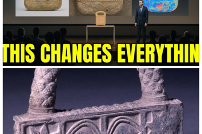 Man Finds Ancient Sumerian Handbag Object… What Happened Next Stunned Scientists Around The World