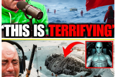 Chinese Scientists Fear! They Uncovered a TERRIFYING DISCOVERY in Antarctica – Documentary