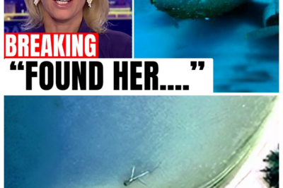 Amelia Earhart’s Missing Plane Has Been Discovered After 88 Years