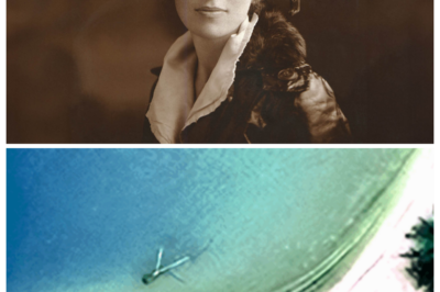 Amelia Earhart’s Plane Likely Found in Hidden Lagoon, Researchers Claim “Very Strong” Evidence!