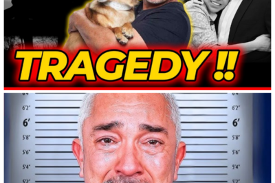 What Happened to Cesar Millan? The Truth Behind His Sudden Disappearance Stuns Fans Worldwide