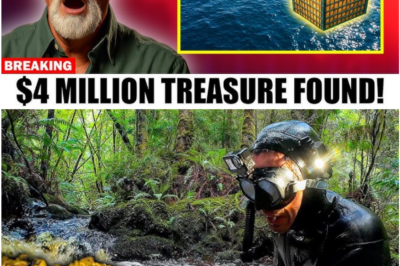 BREAKING: Rick Lagina Reveals Evidence of a $4 Million Shipwreck Treasure Hidden Beneath Oak Island