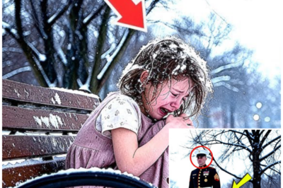 A Whisper of Hope: The Incredible Rescue of a Girl Trapped in a Blizzard by a Brave Marine and His Dog