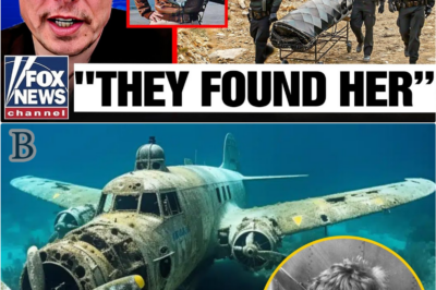 🌊 After 87 Years, a New Answer Emerges About Amelia Earhart — And It Changes Everything