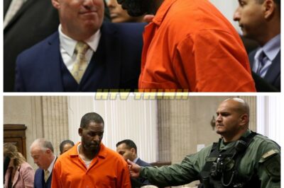 💔⚡ Did President Really Pardon R. Kelly?