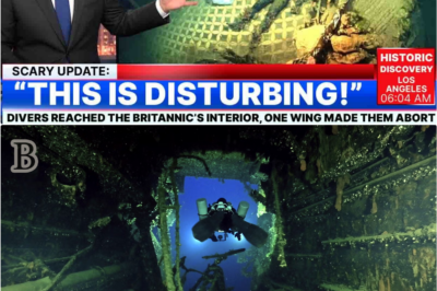 🌊 Inside the : The Moment Divers Realized They Had to Turn Back