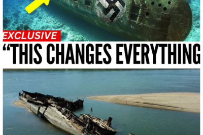 What Salvage Divers Found Inside Sunken Nazi Germany Submarine Will Leave You Speechless