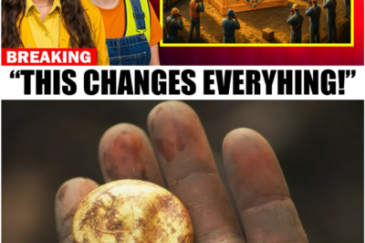 New Evidence Unearthed by Emma and Katya Sparks the Most Significant Shift Yet in the Oak Island Mystery