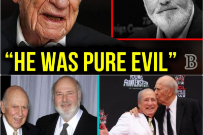 🎭 After Carl Reiner’s Death, Mel Brooks Finally Speaks Honestly About Rob Reiner